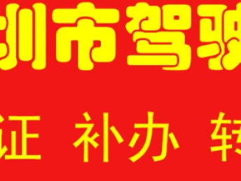 深圳汽車一站式服務指南 代辦過戶、年檢、綠標、違章咨詢與車險辦理